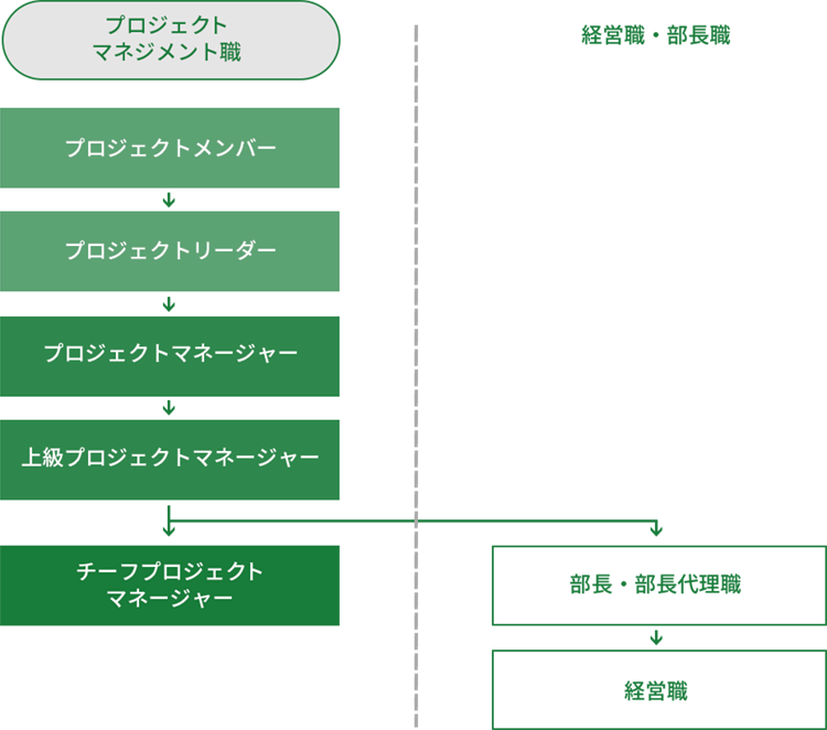 キャリアパス